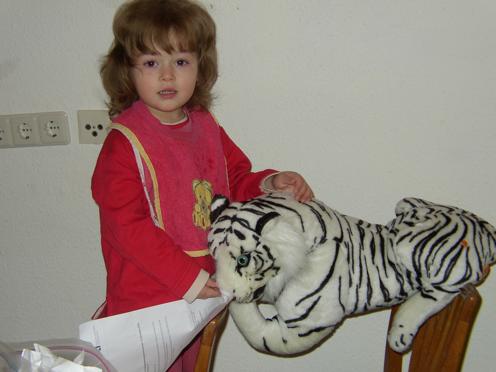how Kimberly feeds her tiger how Kimberly feeds her tiger